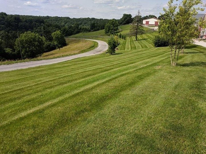 Our Best Commercial Lawn Mowing Tips
